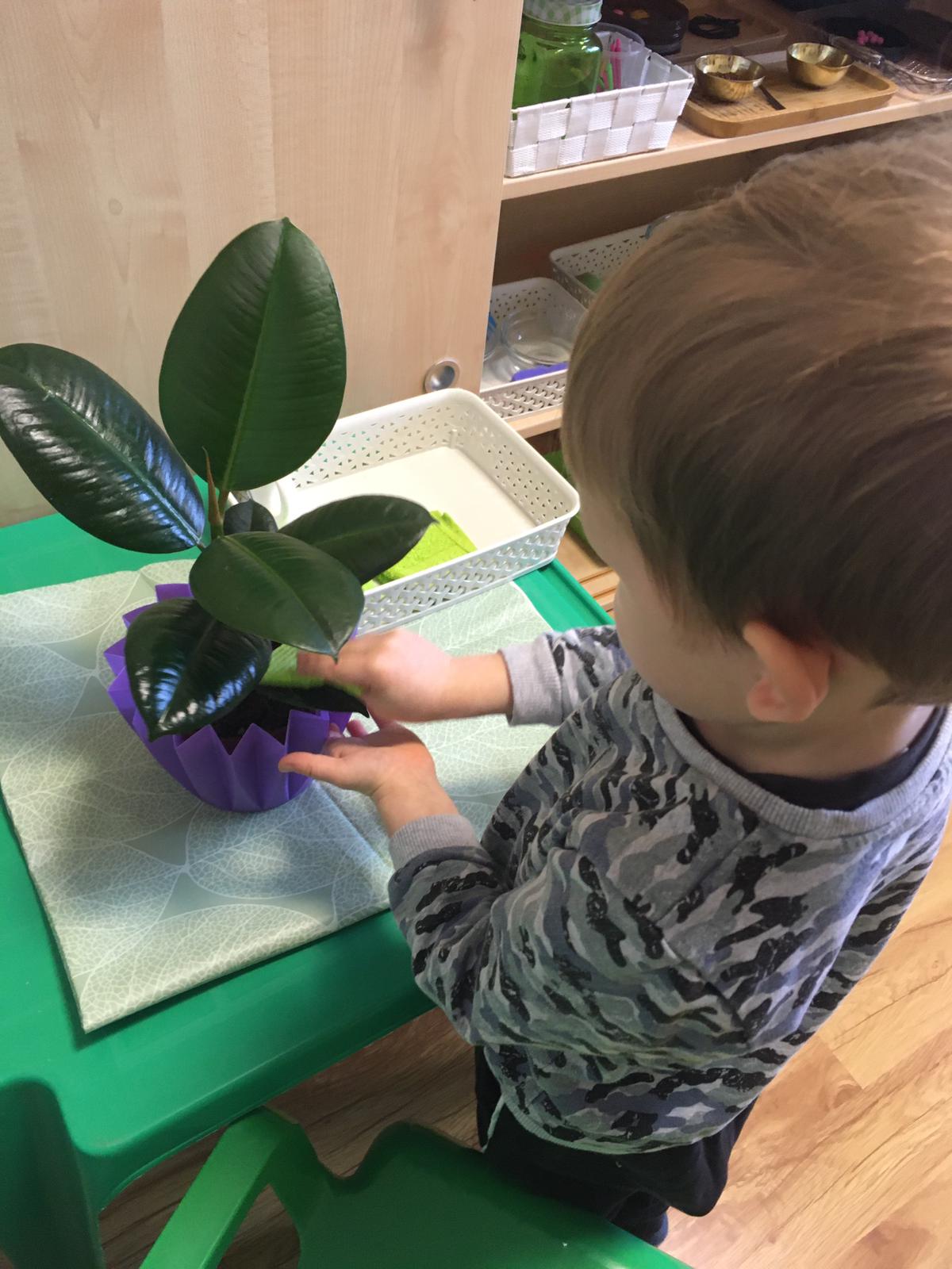 montessori2